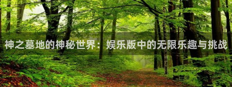 意昂2体育：神之墓地的神秘世界：娱乐版中的无限乐趣与挑战