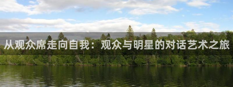 意昂2平台：从观众席走向自我：观众与明星的对话艺术之旅