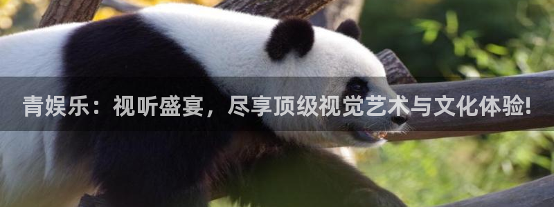 意昂3登录：青娱乐：视听盛宴，尽享顶级视觉艺术与文化体验!