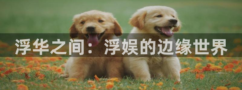 意昂2代理注册：浮华之间：浮娱的边缘世界