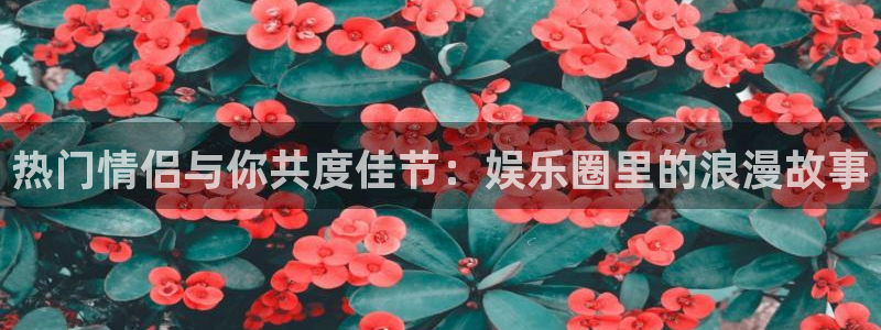 意昂3登陆：热门情侣与你共度佳节：娱乐圈里的浪漫故事