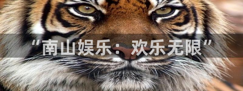 意昂2代理注册：“南山娱乐：欢乐无限”