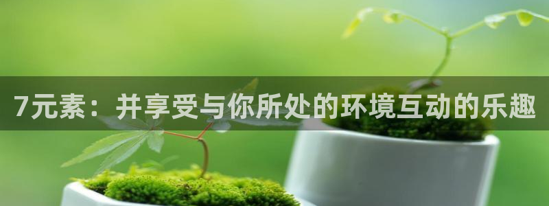 意昂2平台：7元素：并享受与你所处的环境互动的乐趣