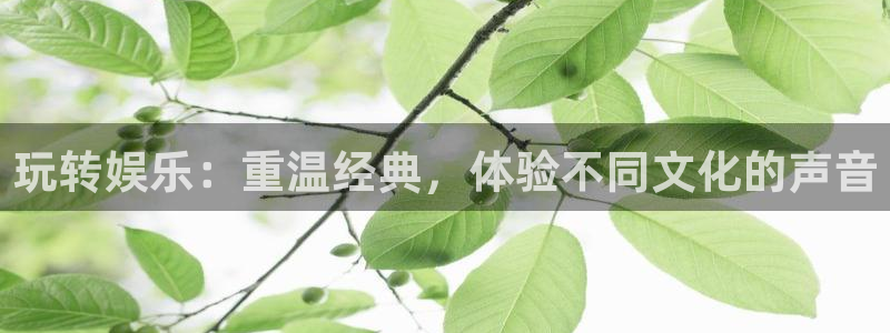 意昂4官网：玩转娱乐：重温经典，体验不同文化的声音