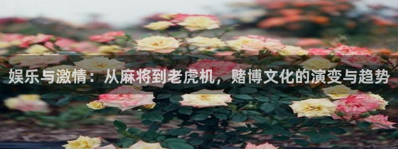 意昂2登录：娱乐与激情：从麻将到老虎机，赌博文化的演变与趋势