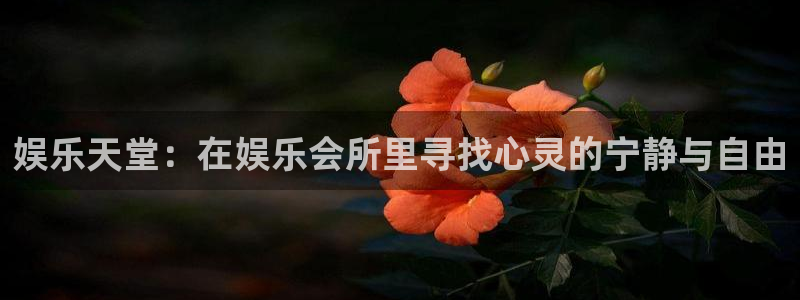 意昂2登录入口：娱乐天堂：在娱乐会所里寻找心灵的宁静与自由